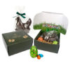 Coffret premium avec poule et œufs en chocolat